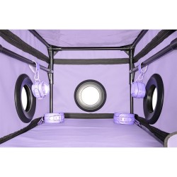SECRET DOME - KINK CLUB LA NICHE CABINA MORADO