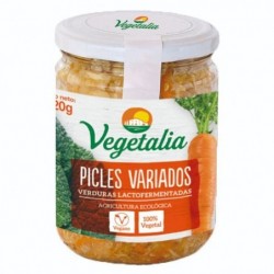 PICLES VARIADA BIO CCPAE 320 g