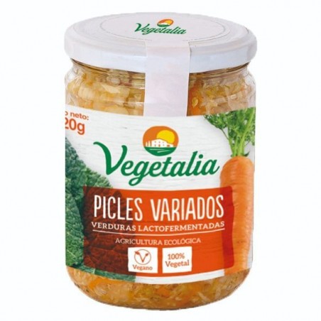 PICLES VARIADA BIO CCPAE 320 g