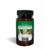 CASTAÑO INDIAS  40  CAPSULAS
