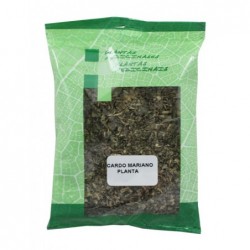CARDO MARIANO PLANTA TRIT. 40 Gr