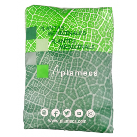 ANIS VERDE SEMILLAS 1 Kg
