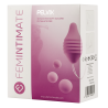 FEMINTIMATE - PELVIX CONCEPT BOLAS 100 TERAPEUTICAS