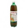 TE KOMBUCHA FRUTAS DEL BOSQUE BIO 1 5L