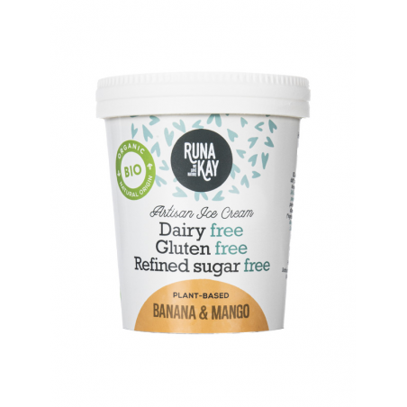 HELADO BIO PLATANO Y MANGO VEGAN 460 ml