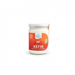 REFRIG KEFIR DE OVEJA BIO 420 g