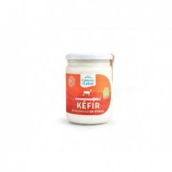 REFRIG KEFIR OVEJA DESNATADO BIO 420g