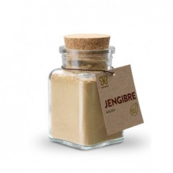 JENGIBRE MOLIDO BIO 50 GR