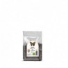 CHIA SEMILLAS BIO 250  GR.