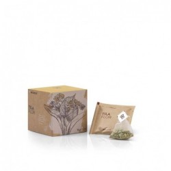 TILA FLOR CORTADA  ECO  PIRAMIDE (1X10)