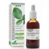 EXTRACTO DE DESMODENS XXI 50 ML