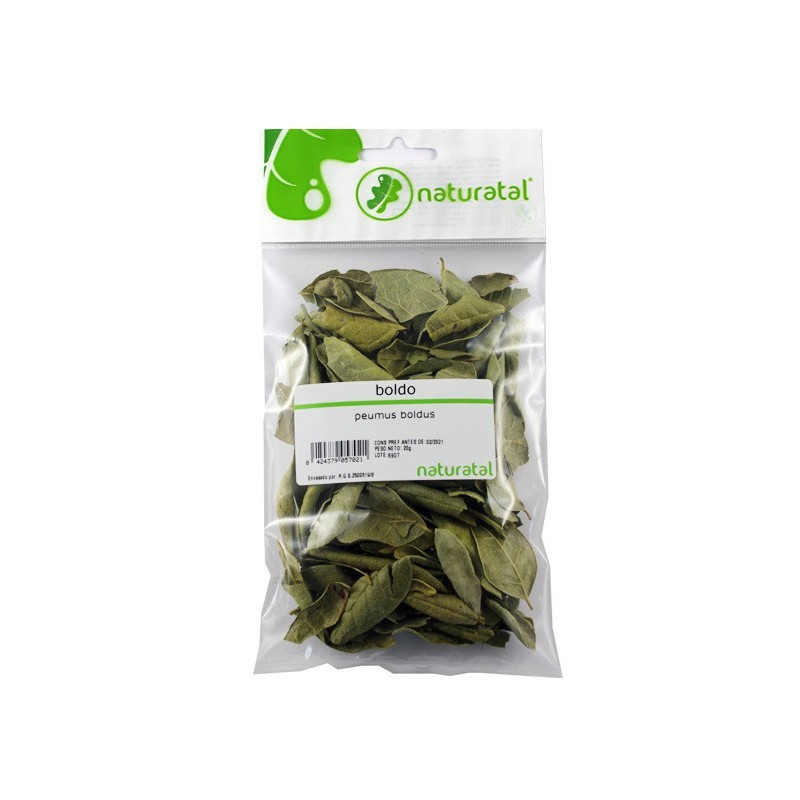 BOLDO (Peumus boldus) 20GR