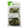 BOLDO (Peumus boldus) 20GR