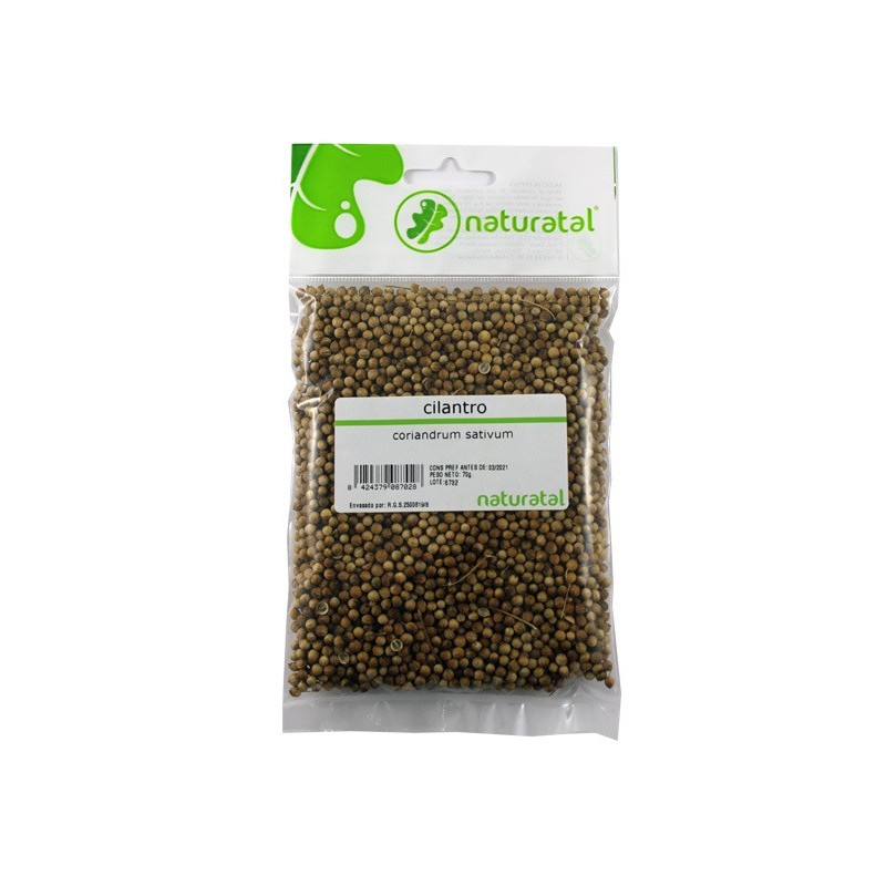 CILANTRO (Coriandrum sativum) 70GR