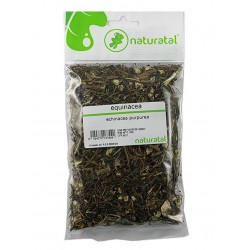 EQUINACEA (Echinacea pupurea) 100GR