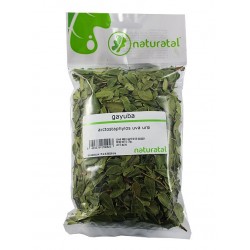 GAYUBA (Arctostaphylos uva-ursi) 75GR