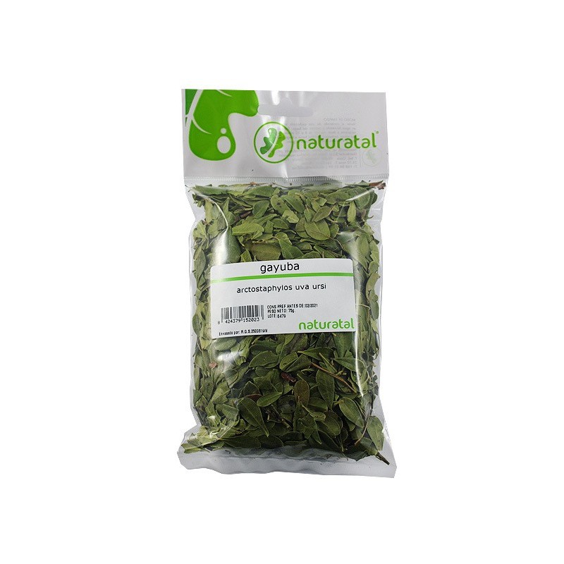GAYUBA (Arctostaphylos uva-ursi) 75GR