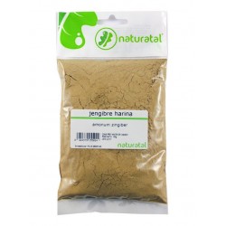 JENGIBRE HARINA (Zingiber officinale) 100GR