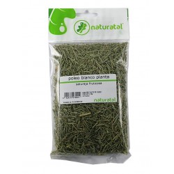 POLEO BLANCO PLANTA (Satureja fruticosa) 50GR