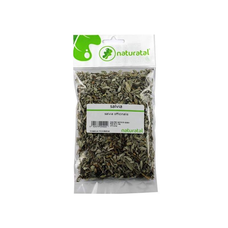 SALVIA (Salvia officinalis) 40GR