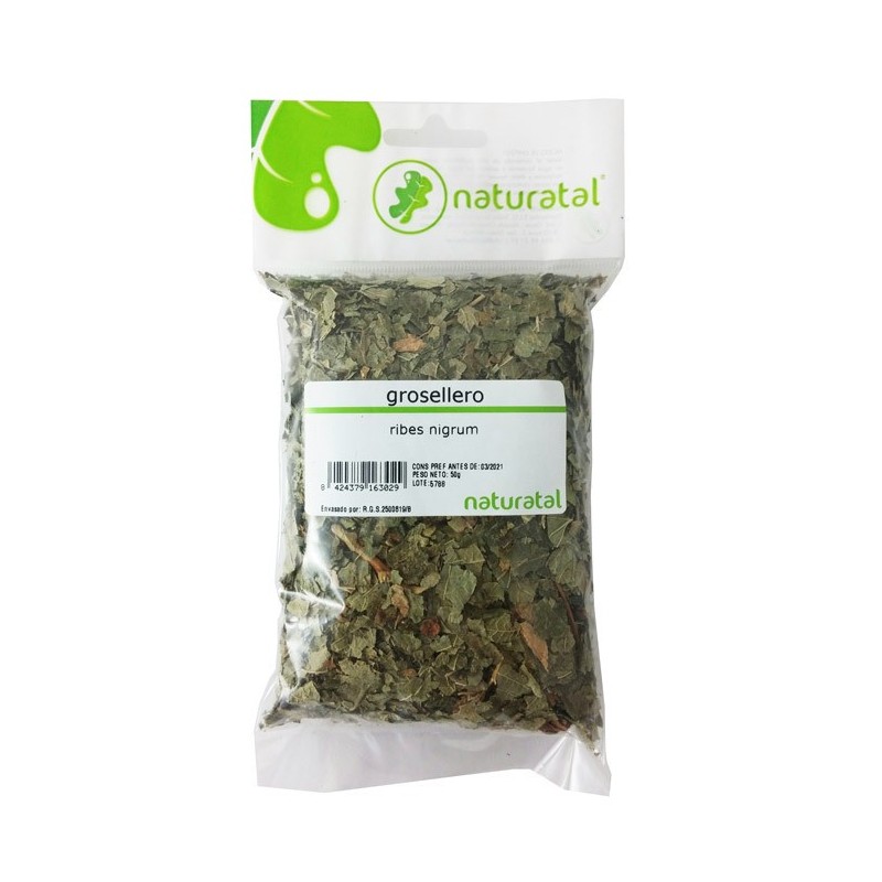 GROSELLERO (Ribes) HOJA TRIT 50GR