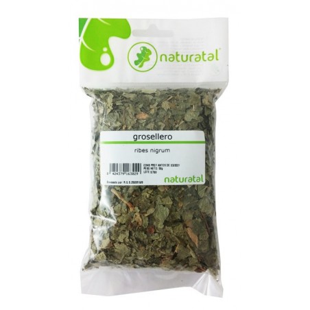 GROSELLERO (Ribes) HOJA TRIT 50GR