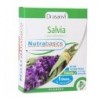 SALVIA 30CAPS NUTRIBASICS DRASANVI