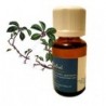 ACEITE ESENCIAL 'WINTERGREEN'