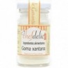 GOMA XANTANA 35 G