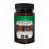 HARPAGOFITO 40 CAPSULAS