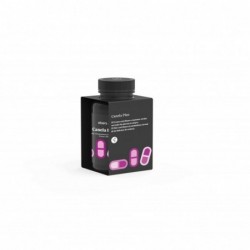 CANELA PLUS 60 CAPS -  (Linea Papiro)