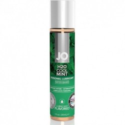 Fleshlube Hielo 250 ml