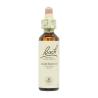 Flor nº 1 Agrimonia (agrimony) 20ml Bach