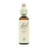 Flor nº 2 Alamo temblon (aspen) 20ml Bach