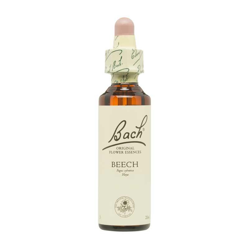 Flor nº 3 Haya (beech) 20ml Bach