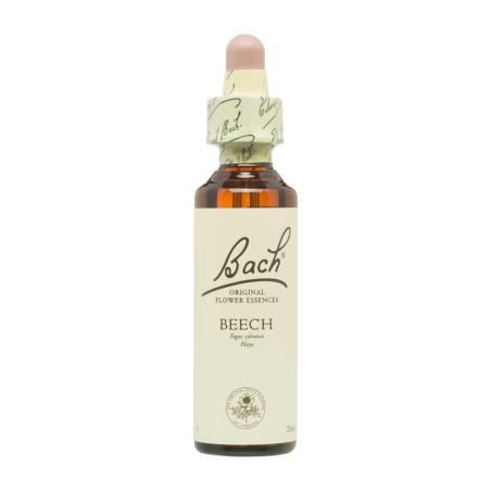 Flor nº 3 Haya (beech) 20ml Bach