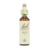 Flor nº 3 Haya (beech) 20ml Bach