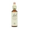 Flor nº 4 Centaura menor (centaury) 20ml Bach