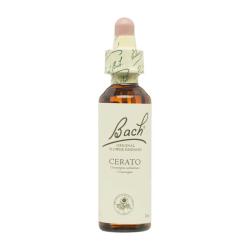Flor nº 5 Ceratostigma (cerato) 20ml Bach