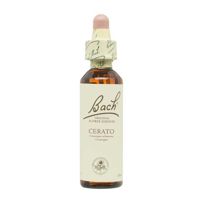 Flor nº 5 Ceratostigma (cerato) 20ml Bach