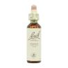 Flor nº 5 Ceratostigma (cerato) 20ml Bach
