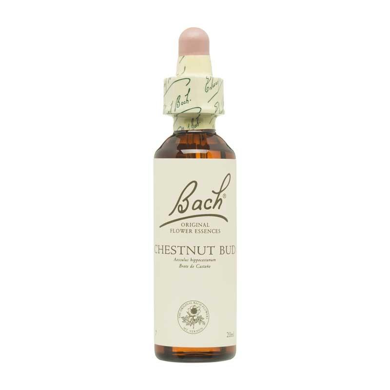 Flor nº 7 Brote de castaño (chestnut bud) 20ml Bach