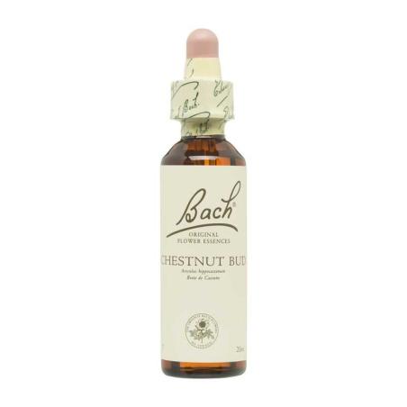 Flor nº 7 Brote de castaño (chestnut bud) 20ml Bach