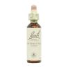 Flor nº 7 Brote de castaño (chestnut bud) 20ml Bach