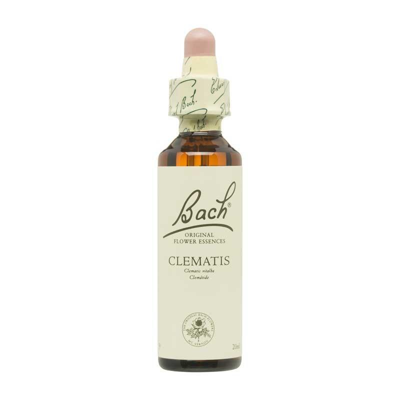 Flor nº 9 Clematide (clematis) 20ml Bach