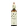 Flor nº 9 Clematide (clematis) 20ml Bach