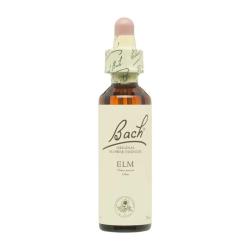 Flor nº 11 Olmo (elm) 20ml Bach