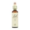 Flor nº 11 Olmo (elm) 20ml Bach