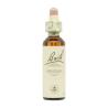 Flor nº 12 Genciana (gentian) 20ml Bach