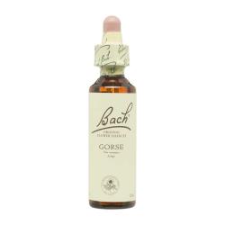 Flor nº 13 Aulaga (gorse) 20ml Bach